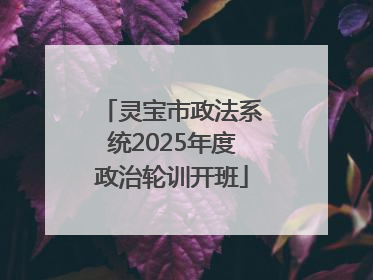 灵宝市政法系统2025年度政治轮训开班