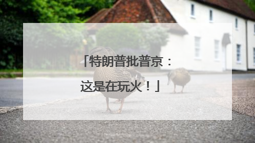 特朗普批普京：这是在玩火！