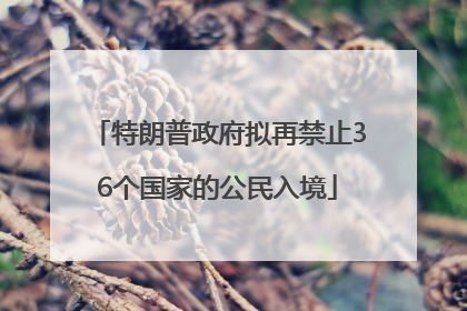 特朗普政府拟再禁止36个国家的公民入境