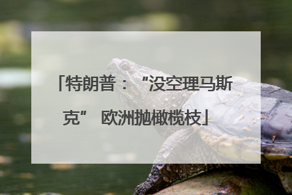 特朗普：“没空理马斯克” 欧洲抛橄榄枝