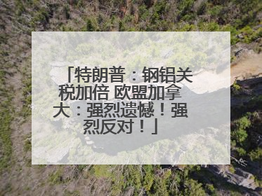 特朗普：钢铝关税加倍 欧盟加拿大：强烈遗憾！强烈反对！