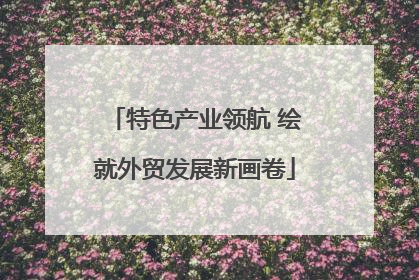 特色产业领航 绘就外贸发展新画卷