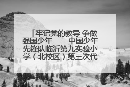 牢记党的教导 争做强国少年——中国少年先锋队临沂第九实验小学（北校区）第三次代表大会胜利召开