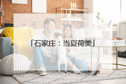 石家庄：当夏荷美