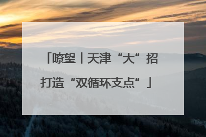 瞭望丨天津“大”招打造“双循环支点”