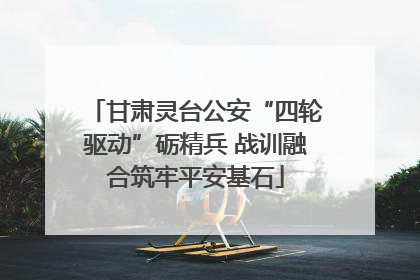 甘肃灵台公安“四轮驱动”砺精兵 战训融合筑牢平安基石