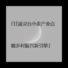 甘肃灵台小麦产业点燃乡村振兴新引擎