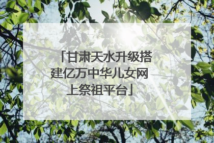 甘肃天水升级搭建亿万中华儿女网上祭祖平台