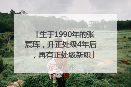 生于1990年的张宸珲，升正处级4年后，再有正处级新职