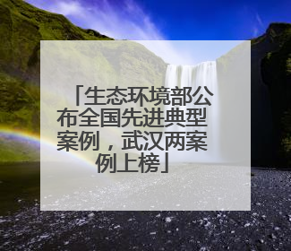 生态环境部公布全国先进典型案例，武汉两案例上榜