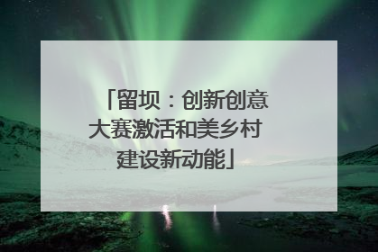 留坝：创新创意大赛激活和美乡村建设新动能