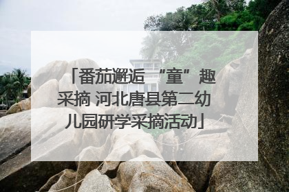 番茄邂逅 “童”趣采摘 河北唐县第二幼儿园研学采摘活动