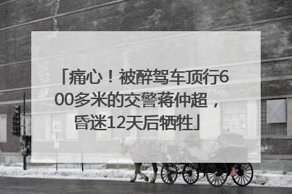 痛心！被醉驾车顶行600多米的交警蒋仲超，昏迷12天后牺牲