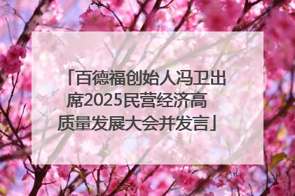 百德福创始人冯卫出席2025民营经济高质量发展大会并发言