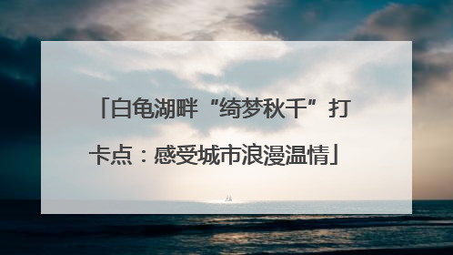 白龟湖畔“绮梦秋千”打卡点：感受城市浪漫温情