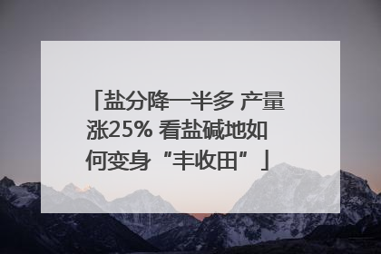 盐分降一半多 产量涨25% 看盐碱地如何变身“丰收田”