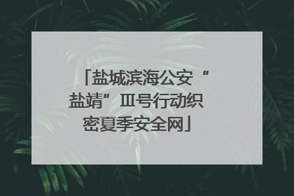 盐城滨海公安“盐靖”Ⅲ号行动织密夏季安全网