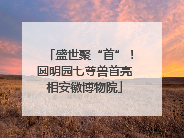 盛世聚“首”！圆明园七尊兽首亮相安徽博物院