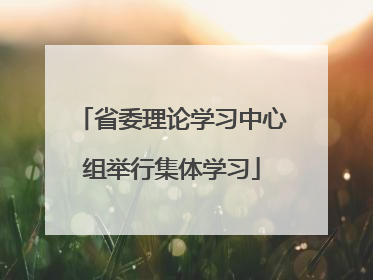 省委理论学习中心组举行集体学习