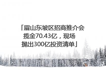 眉山东坡区招商推介会揽金70.43亿，现场抛出300亿投资清单