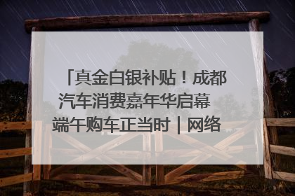 真金白银补贴！成都汽车消费嘉年华启幕 端午购车正当时｜网络中国节·端午