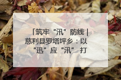 筑牢“汛”防线｜慈利县罗塔坪乡：以“迅”应“汛” 打赢暴雨防御战