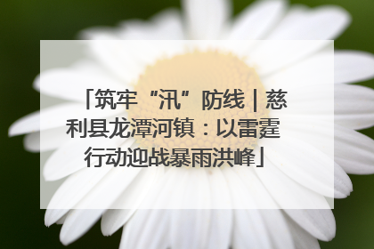 筑牢“汛”防线｜慈利县龙潭河镇：以雷霆行动迎战暴雨洪峰