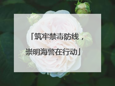 筑牢禁毒防线，崇明海警在行动