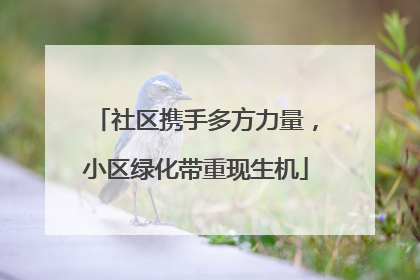 社区携手多方力量，小区绿化带重现生机