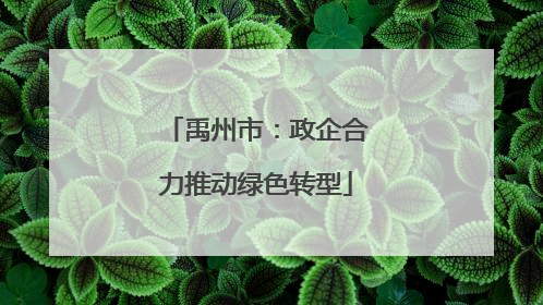 禹州市：政企合力推动绿色转型