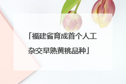 福建省育成首个人工杂交早熟黄桃品种