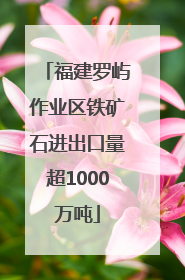福建罗屿作业区铁矿石进出口量超1000万吨