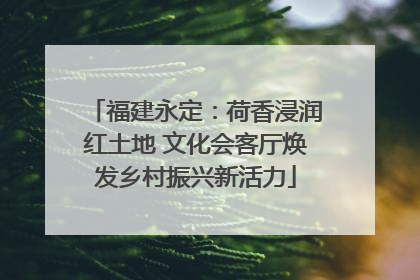 福建永定：荷香浸润红土地 文化会客厅焕发乡村振兴新活力