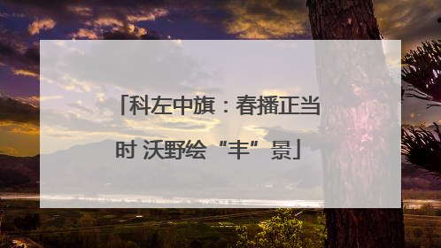 科左中旗：春播正当时 沃野绘“丰”景