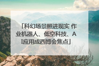 科幻场景照进现实 作业机器人、低空科技、AI应用成西博会焦点