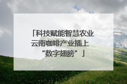 科技赋能智慧农业 云南咖啡产业插上“数字翅膀”