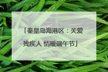 秦皇岛海港区：关爱残疾人 情暖端午节