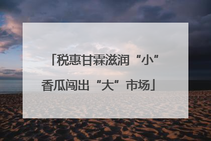 税惠甘霖滋润“小”香瓜闯出“大”市场