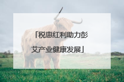 税惠红利助力彭艾产业健康发展