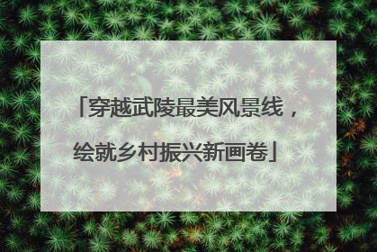 穿越武陵最美风景线，绘就乡村振兴新画卷