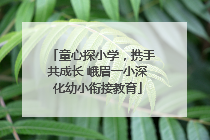 童心探小学，携手共成长 峨眉一小深化幼小衔接教育