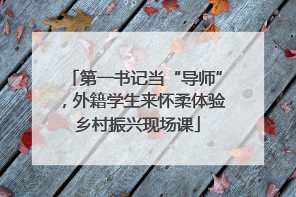 第一书记当“导师”，外籍学生来怀柔体验乡村振兴现场课