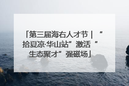 第三届海右人才节｜“拾夏凉·华山站”激活“生态聚才”强磁场
