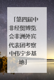 第四届中非经贸博览会非洲外宾代表团考察中伟宁乡基地