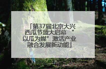 第37届北京大兴西瓜节盛大启幕 “以瓜为媒”激活产业融合发展新动能
