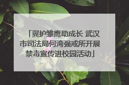 翼护雏鹰助成长 武汉市司法局何湾强戒所开展禁毒宣传进校园活动