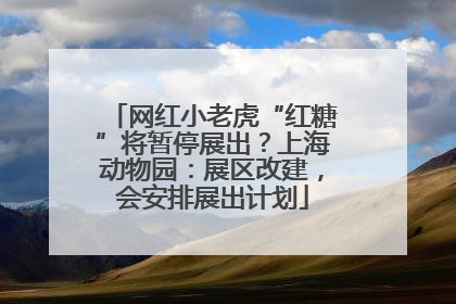 网红小老虎“红糖”将暂停展出？上海动物园：展区改建，会安排展出计划