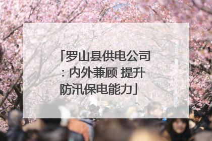 罗山县供电公司：内外兼顾 提升防汛保电能力
