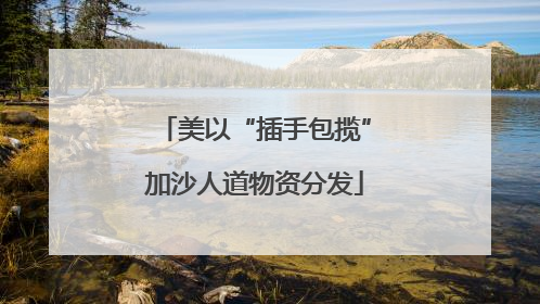 美以“插手包揽”加沙人道物资分发