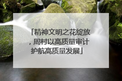 精神文明之花绽放,周村以高质量审计护航高质量发展